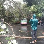 Angin Puting Beliung Hantam Wilayah Bogor Selatan Angin Puting Beliung Hantam Wilayah Bogor Selatan
