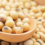 Kedelai dan Protein Nabati, Sebuah Opini I Wayan Budiartawan Kedelai dan Protein Nabati, Sebuah Opini I Wayan Budiartawan